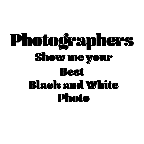 JSZ 📷 tweet media