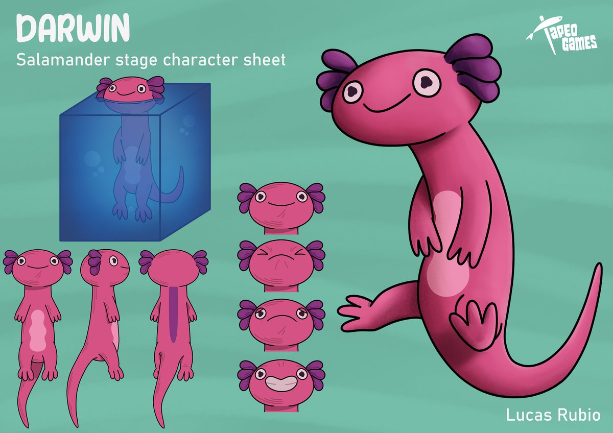 TapeoGames's tweet photo. 🦎CONCEPT ART🦎

Check out  the concept art for Darwin's 3 evolutions! You start as a little tadpole, afraid of the dark and the dangers of the exterior. As you progress in the game and advance through its levels, you will eventually transform into an adult salamander! https://t.co/zQZANCS8jw