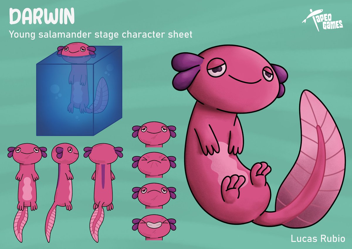 TapeoGames's tweet photo. 🦎CONCEPT ART🦎

Check out  the concept art for Darwin's 3 evolutions! You start as a little tadpole, afraid of the dark and the dangers of the exterior. As you progress in the game and advance through its levels, you will eventually transform into an adult salamander! https://t.co/zQZANCS8jw
