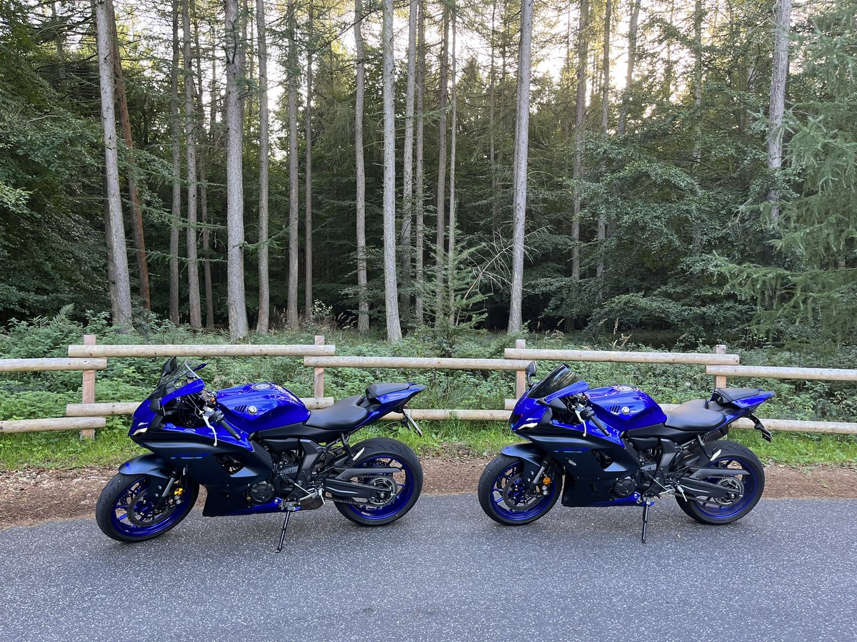 Enough for this year. Let‘s get back to League.