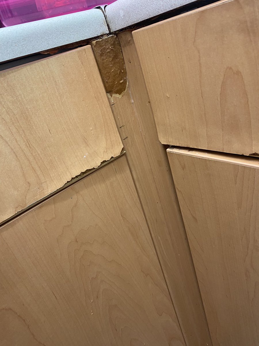 stephazz_1707's tweet photo. why is it that @placesforpeople allow people to live like this? Gaurentee them themselves wouldn’t live in a house they expect us to live in! Jobs don’t get done and when they do it isn’t done properley! #gregreed sort this company out and get our houses liveable! https://t.co/9u3QW2uvaM