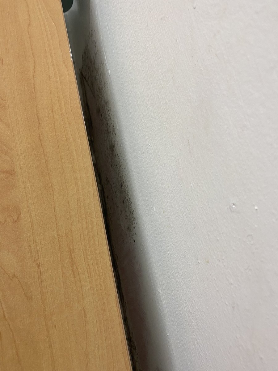 stephazz_1707's tweet photo. Honestly my kitchen is a shambles. My bathroom has mould.. my bedrooms have mould.. my walls drip with water! and scaffolding gets taken down before a job is even complete! @placesforpeople  enoughs enough now! https://t.co/y0ZYSBxDH0