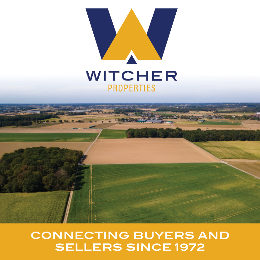 Witcher Auctions tweet media