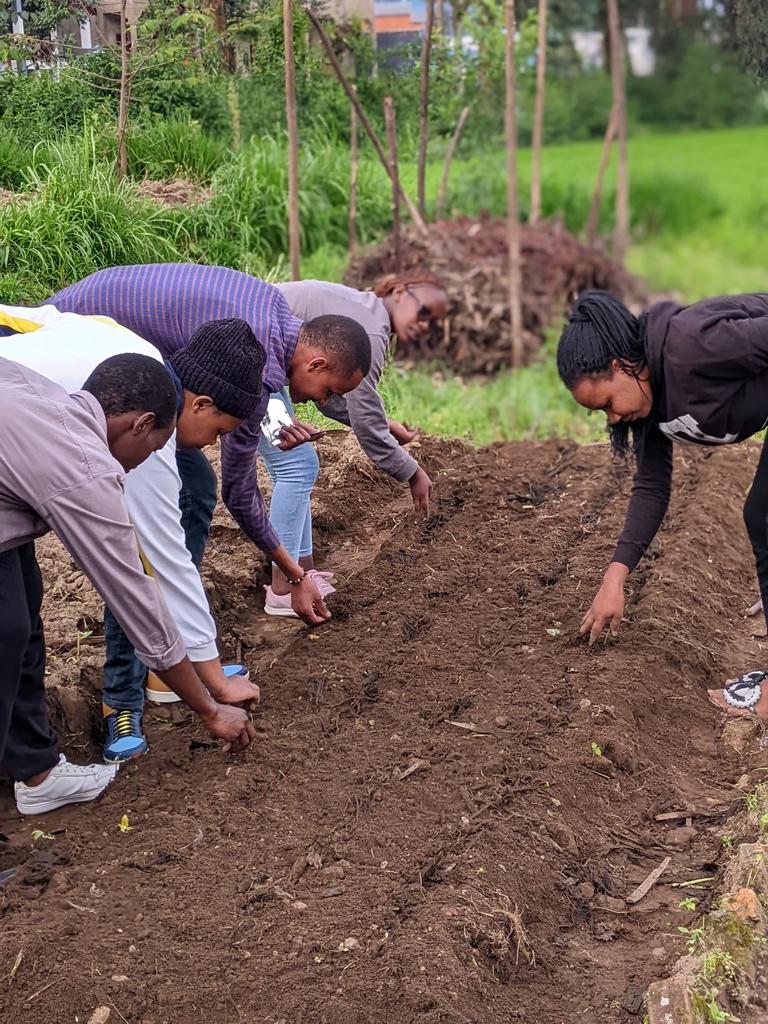 Life grows where seeds are sown,youth in agriculture.