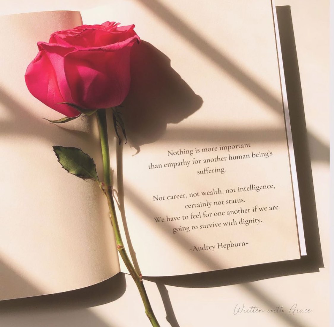 Nothing is more important than empathy for another human being’s suffering #CeasefireNOW 🇵🇸