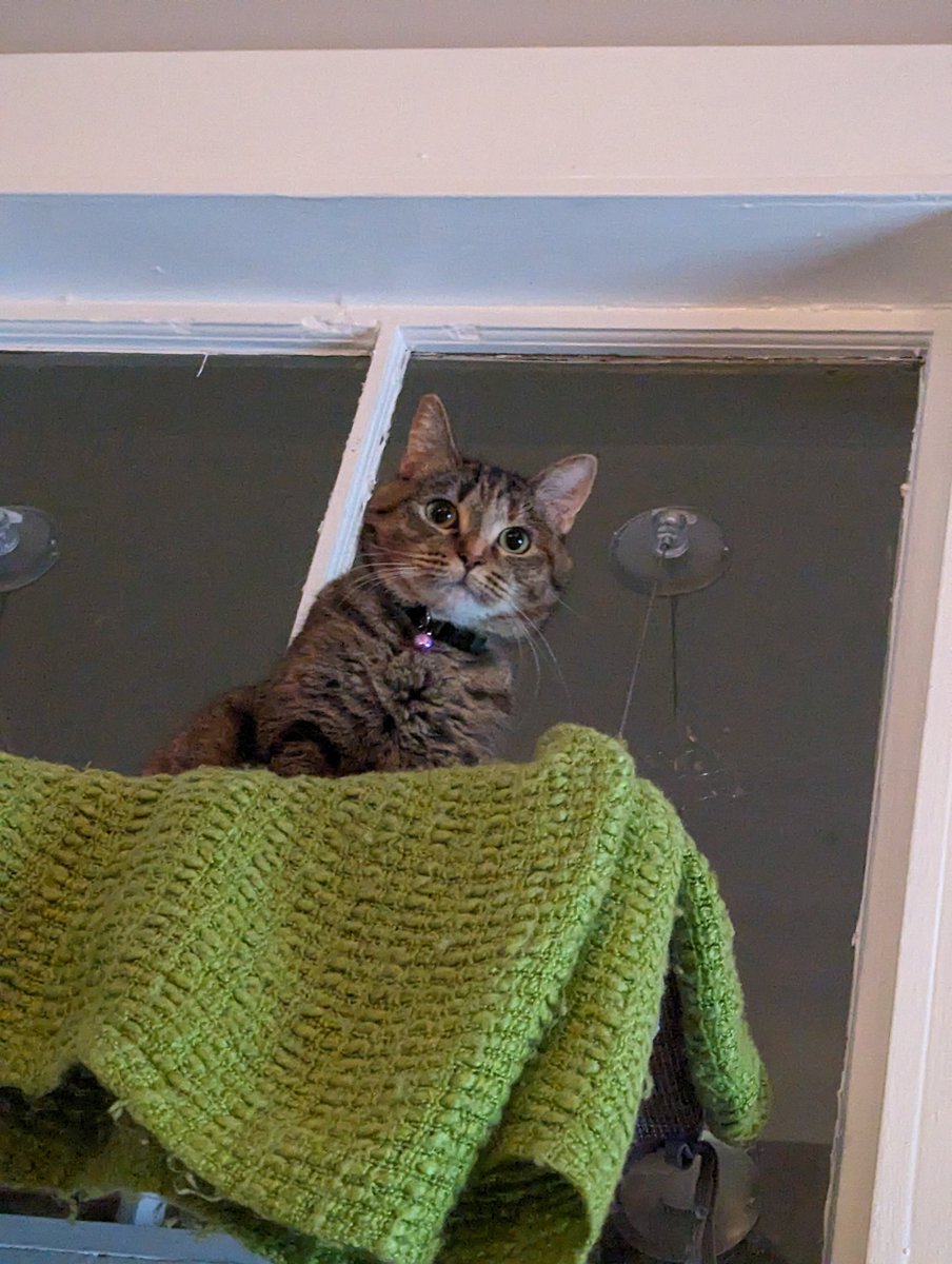 ddrew (@drawzung) on Twitter photo 