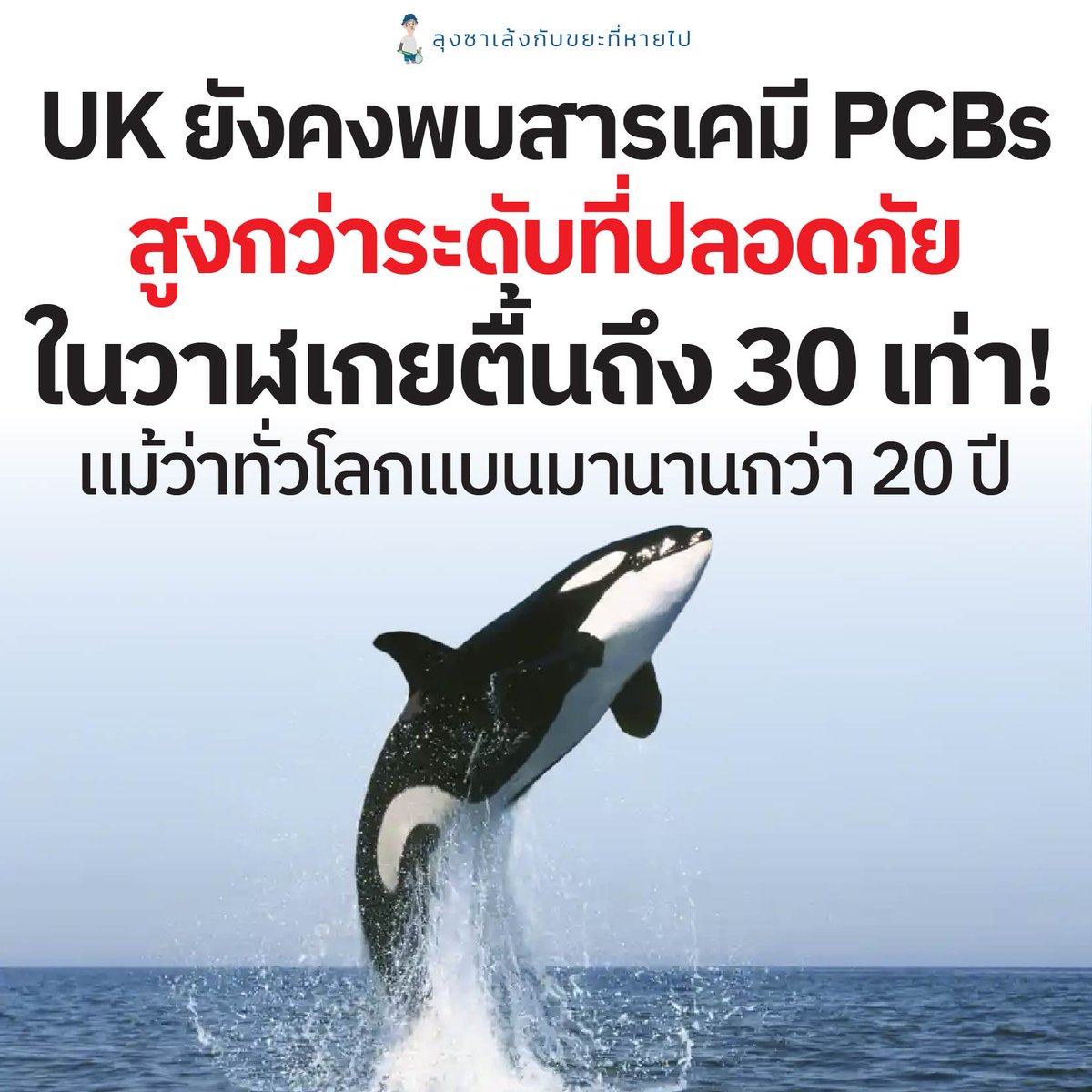 3WheelsUncle's tweet photo. นับตั้งแต่ที่สาร Polychlorinated Biphenyls  (PCBs) สารเคมีอันตรายที่คงอยู่ในสิ่งแวดล้อมได้ยาวนาน ซึ่งเป็นสารก่อมะเร็งที่อาจส่งผลเสียต่อระบบสืบพันธุ์ ระบบภูมิคุ้มกัน และระบบประสาทของสิ่งมีชีวิต รวมถึงมนุษย์ด้วยเช่นกัน
.
นับตั้งแต่ที่ PCBs ถูกแบนมาหลายทศวรรษแล้ว แต่ก็ยังคงมีงานวิจัยออกมาเปิดเผยอยู่เรื่อย ๆ ว่าสาร PCBs ยังไม่ได้หายไปไหน
.
การศึกษาล่าสุดยังแสดงให้เห็นว่าสัตว์จำพวกวาฬในน่านน้ำของสหราชอาณาจักร มีสารพิษในระดับสูงถึง 30 เท่า ซึ่งนี่ก็เป็นสาเหตุสำคัญที่ทำให้ประชากรของวาฬในยุโรปลดลงตามไปด้วย
.
นักวิจัยจากสถาบันสัตววิทยาของสมาคมสัตววิทยาแห่งลอนดอน (ZSL) บอกว่านี่คือ สัญญาณเตือนภัยครั้งใหญ่ ไม่ใช่แค่อันตรายต่อในสัตว์เลี้ยงลูกด้วยนมในทะเลเท่านั้น แต่มันอาจส่งผลกระทบต่อมนุษย์จากการกินปลาในทะเลด้วยเช่นกัน
.
https://t.co/bVOTB2EXrn