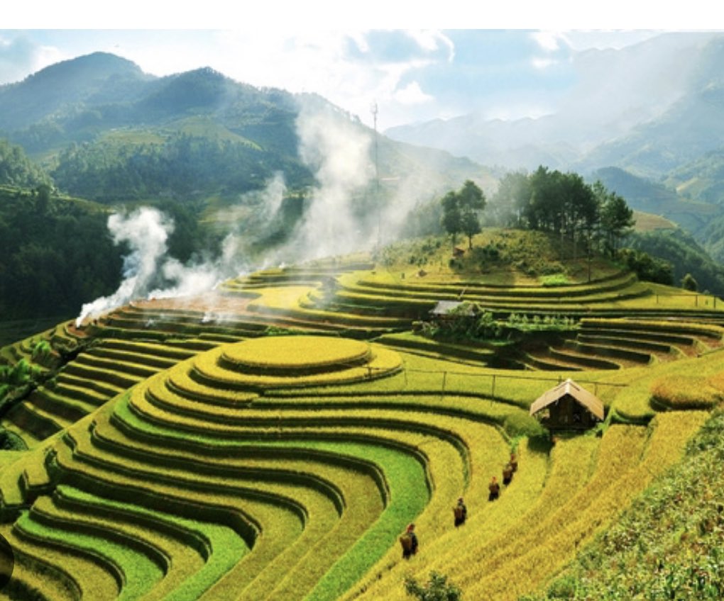 Trường Giang tweet media
