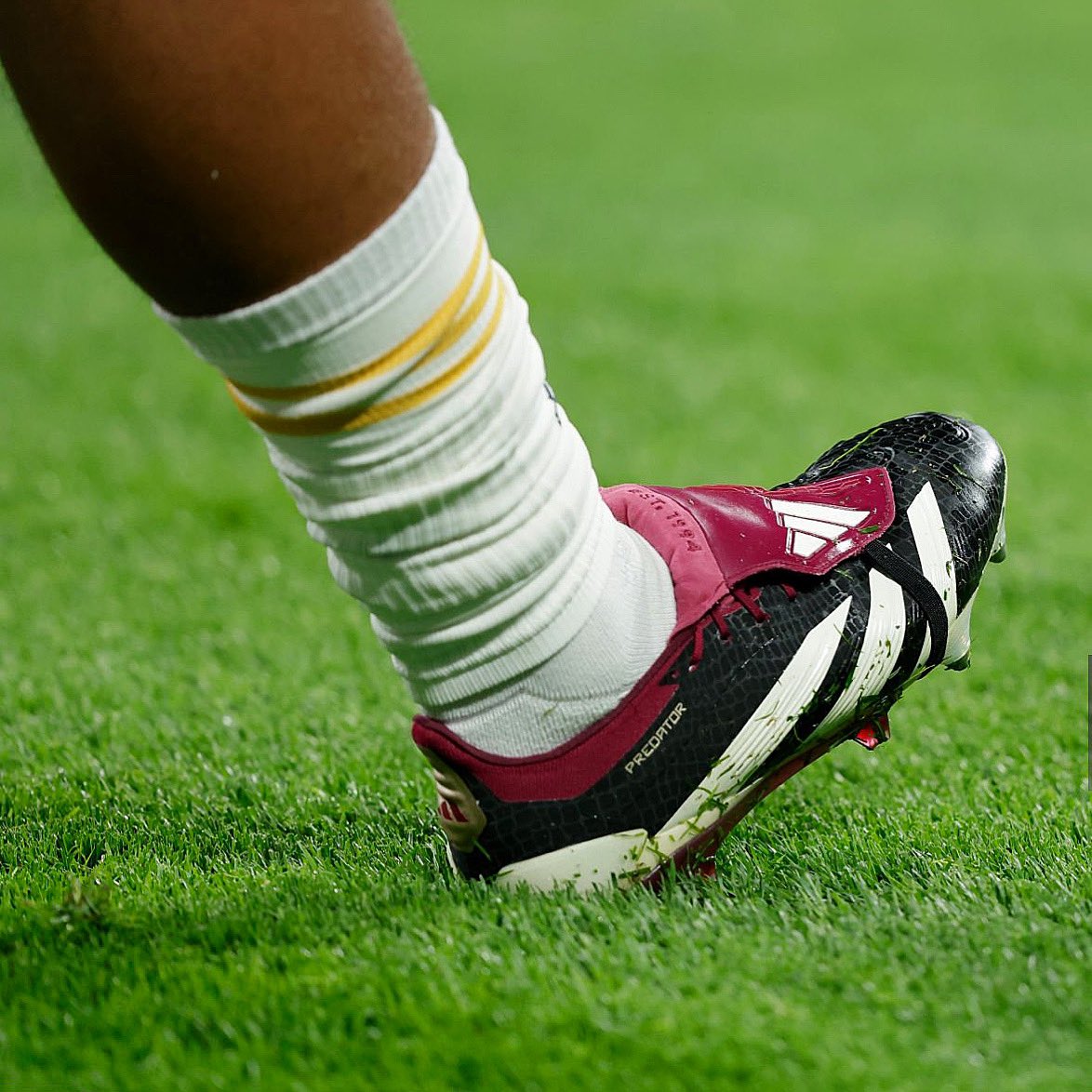 Friday.

The Predator is back.

😏