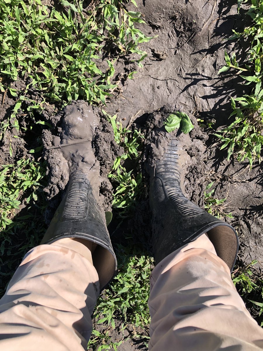 How much rain have you had so far?

#AgriShed #dalby #agriculture #AgSupplies #agronomy #agriculturelife #qld #farming #farmingaustralia