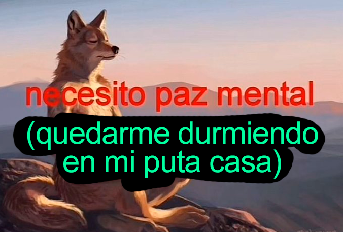 frigosouul's tweet photo. buenos dias https://t.co/2AQVOXxGB2