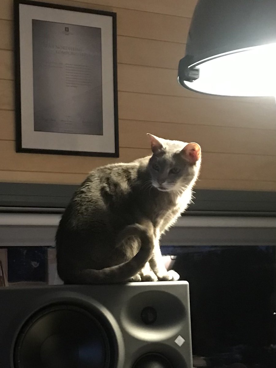 Maja S. K. Ratkje tweet media