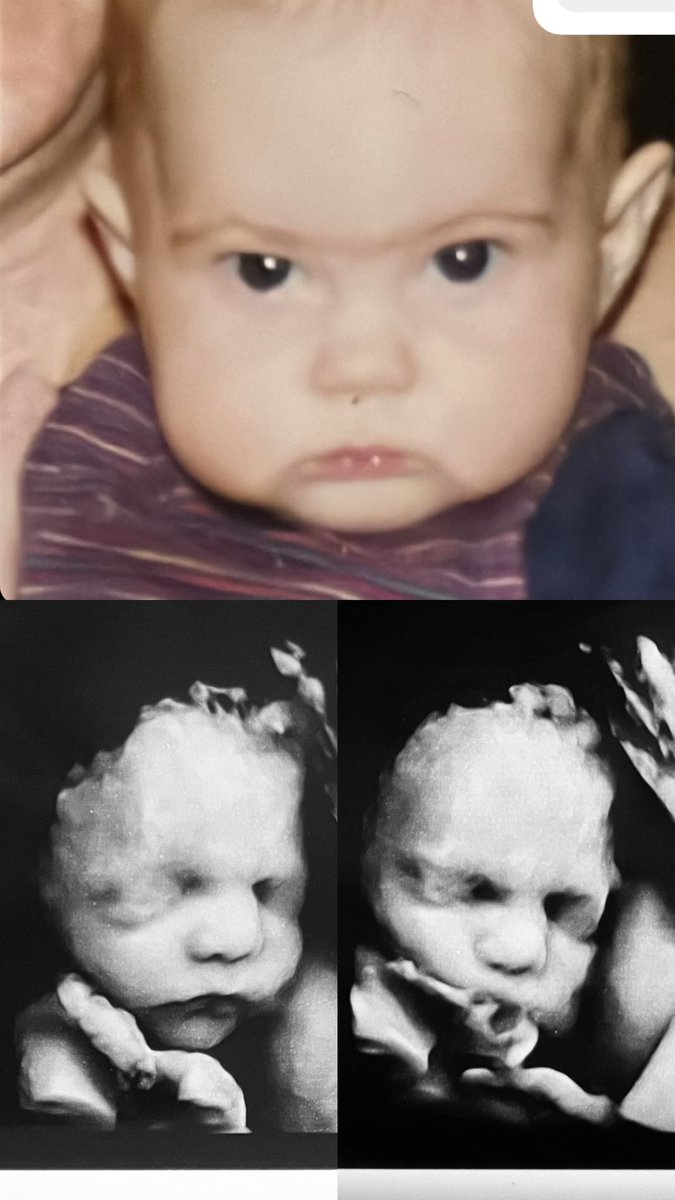 Annabelle Everett tweet media