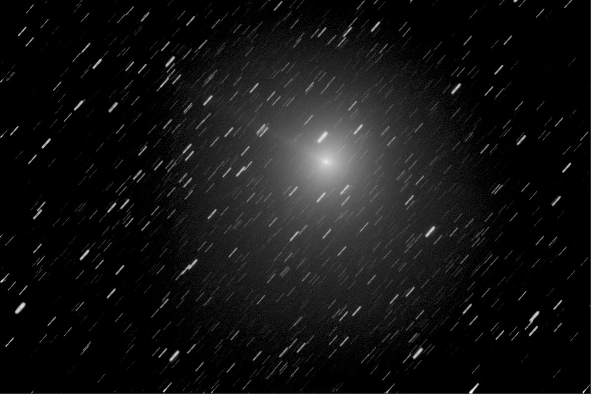 Dr. Lucille Le Corre tweet media