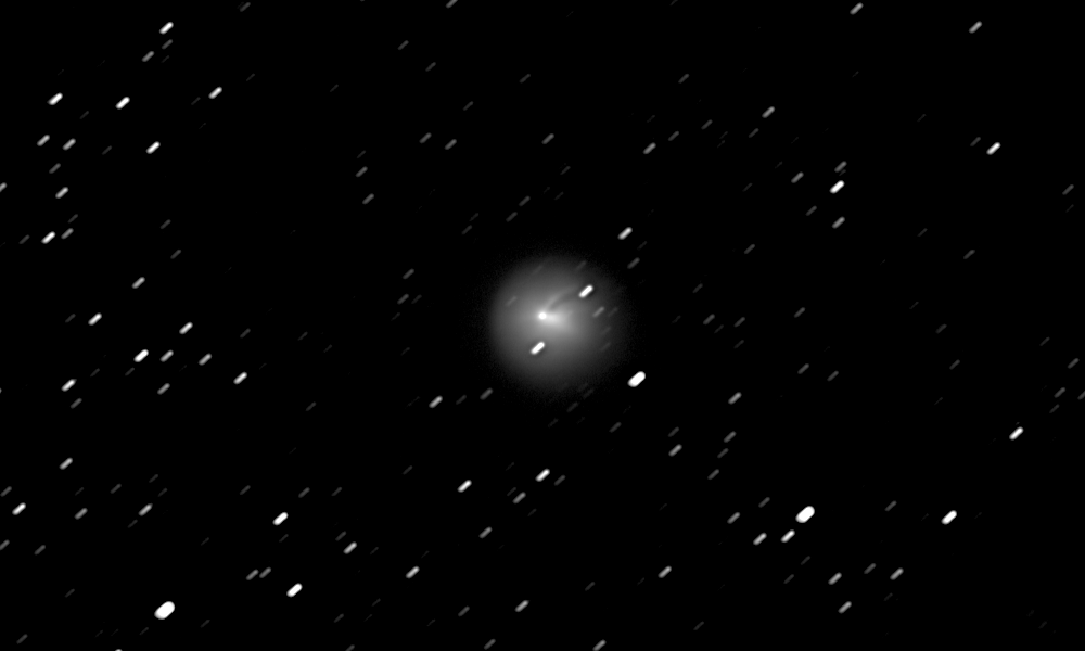 Dr. Lucille Le Corre tweet media