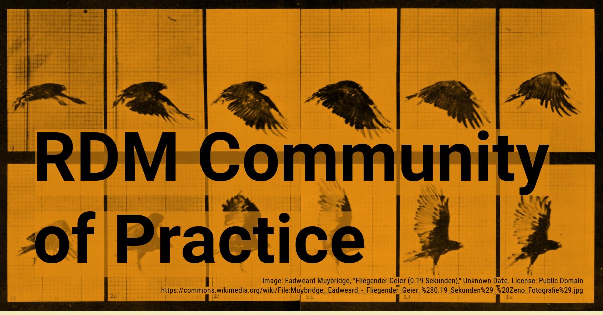 Join the RDM Community of Practice on Nov 30th for a graduate research roundtable! Perfect for grad students and faculty involved in their research collaborations! 🚀

Learn More: libcal.mcmaster.ca/event/3765372