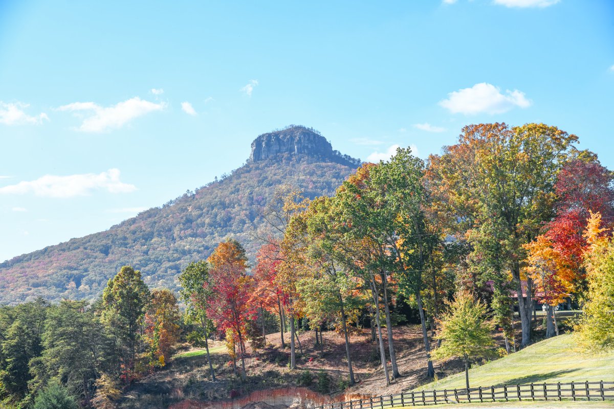 Fall 2023 at Pilot Mountain North Carolina. #pilotmountain #NorthCarolina #autumnleaves