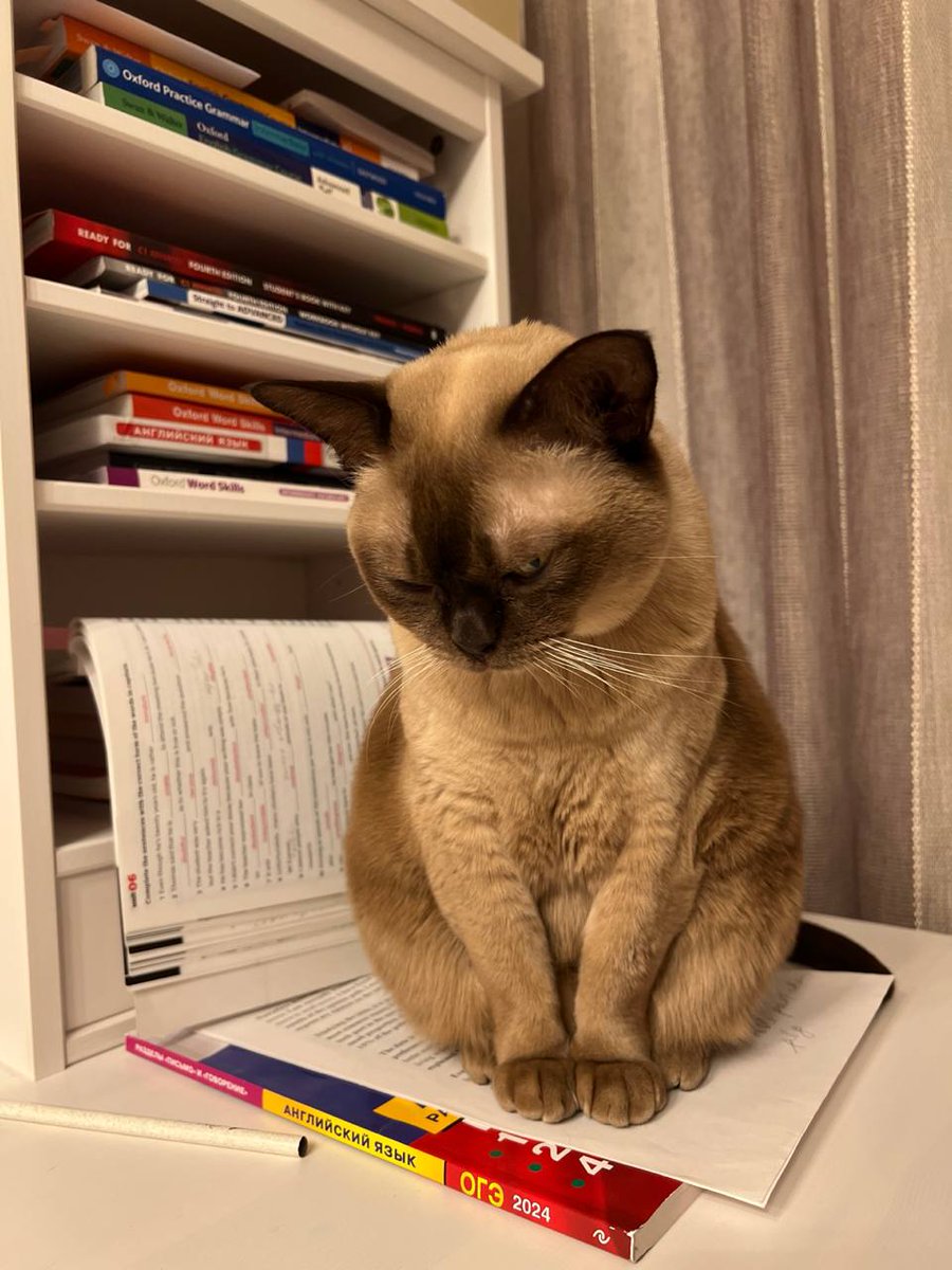 Логин, пароль, один, два, три
И все уже выжжены изнутри;
И ходят воцирковлённые,
Обухотворённые;
Штабелями сложенные
И обезбоженные;