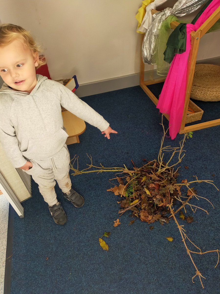 DeltaWillowsAc's tweet photo. Such amazing nest building this afternoon in EYFS for our Owl 🦉 babies #EYFS #talk4writing #creativehook https://t.co/I8AWu6LLx0
