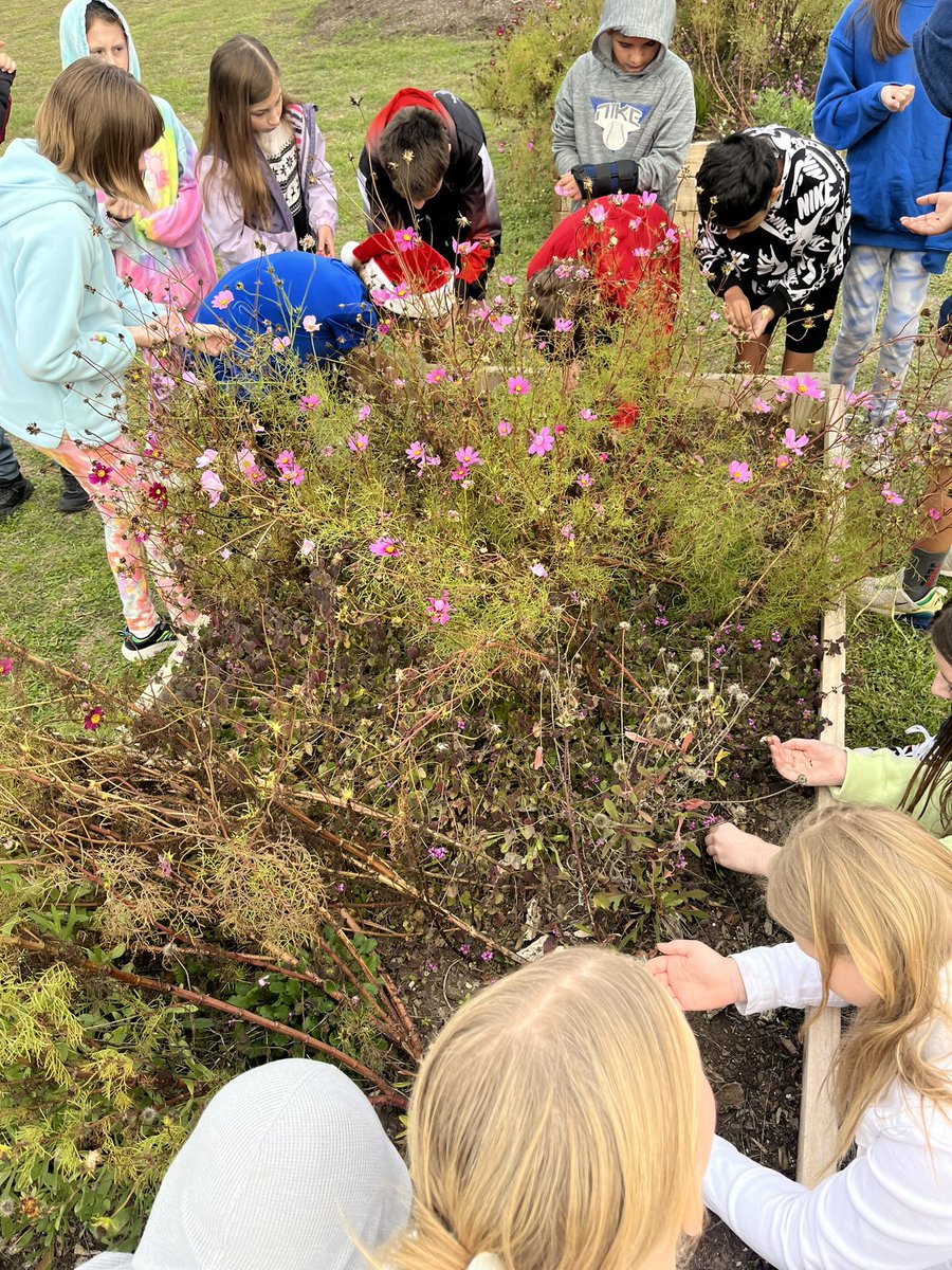 Ashley Hann tweet media