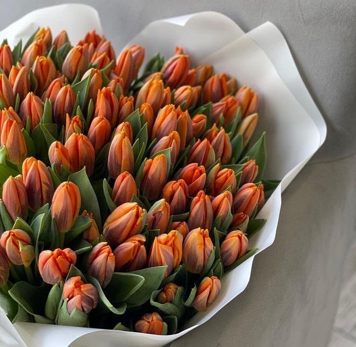 300moods's tweet photo. Orange tulips https://t.co/HqVBraRdMJ