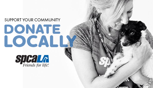 Donate SMART, support LOCAL CHARITIES, and create HEALTHY communities -- New blog from <a href="/spcaLAPresident/">Madeline Bernstein</a> tinyurl.com/ywyr67ea