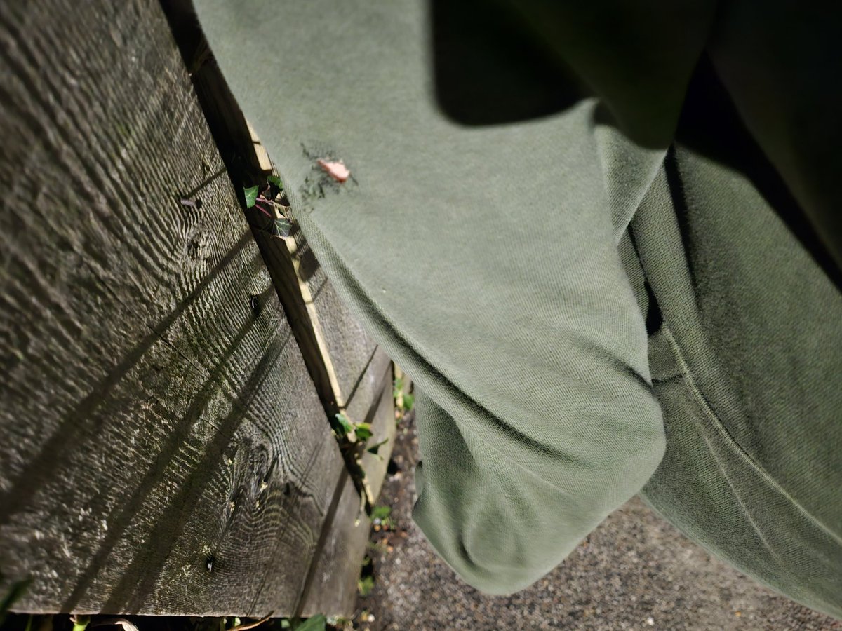 Alexander Stopher 🇬🇬 tweet media