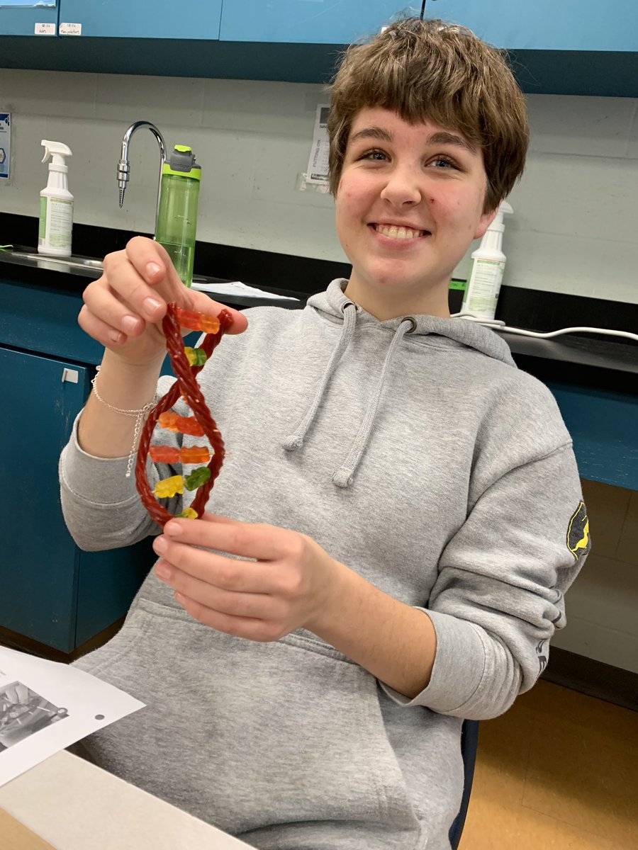 erika_wozniak's tweet photo. SBI3U students making edible DNA strands, yum!  @StJosephOCSB #ediblescience https://t.co/MlIH3DX6mu