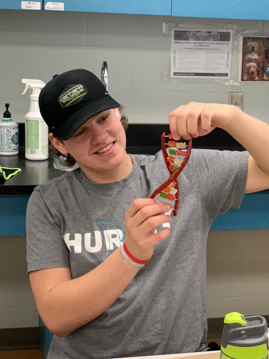 erika_wozniak's tweet photo. SBI3U students making edible DNA strands, yum!  @StJosephOCSB #ediblescience https://t.co/MlIH3DX6mu