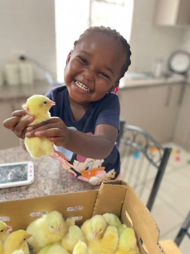 ModernAgUpdates's tweet photo. If you believe that farming can bring happiness, like and repost💗 https://t.co/mCRQulwDhG