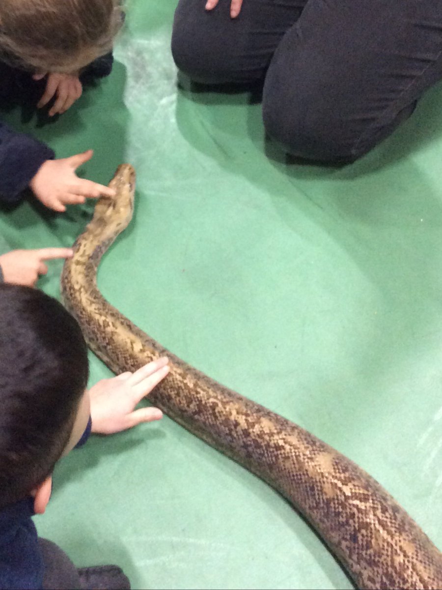 Mrs Melson tweet media