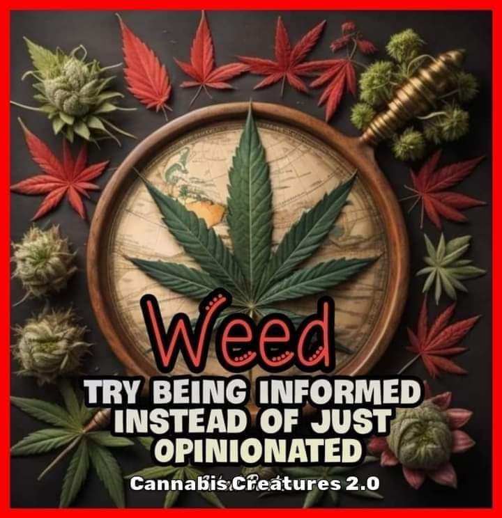 asher_erik's tweet image. 