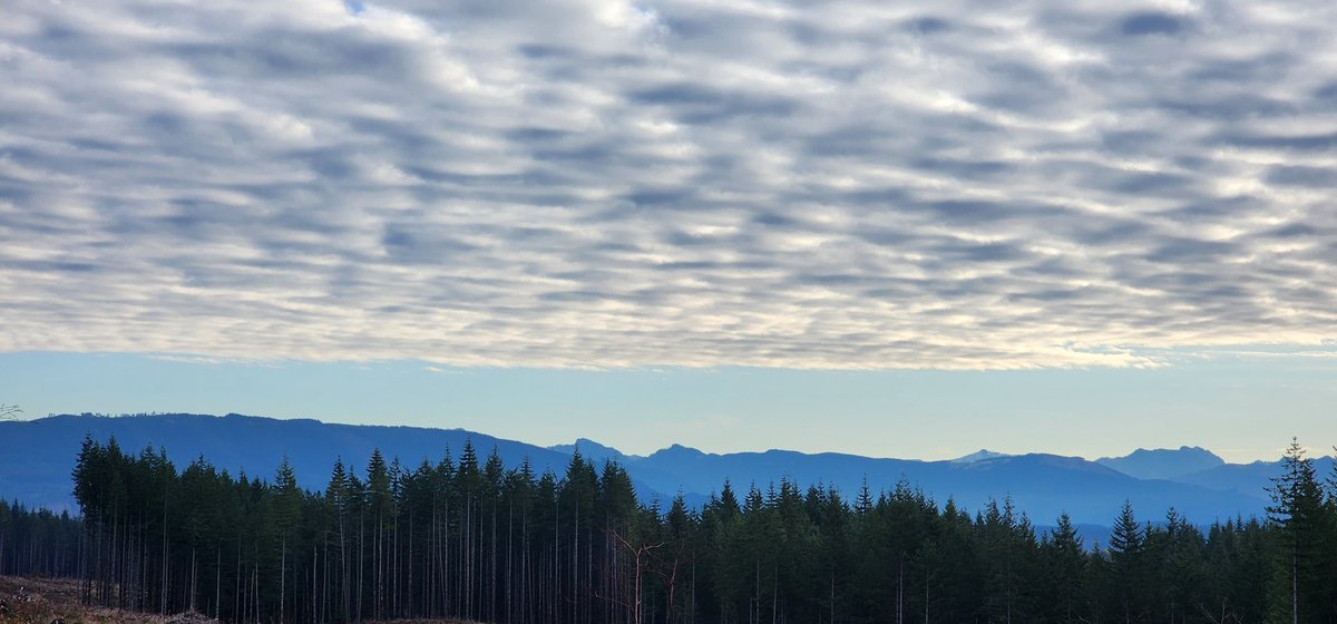 CrazyMistyCat's tweet photo. This morning started with a l♡vely clouded blanket across the sky.
I really enjoy seeing the clear sky dividing the mountains & clouds.
🥰😶🌫️🥰😶🌫️🥰😶🌫️🥰 😶🌫️🥰
I h♡pe each & every person on X has a wonderful Wednesday❣️
#CloudBlanket #WonderfulWednesday https://t.co/8w4OFLYhTk