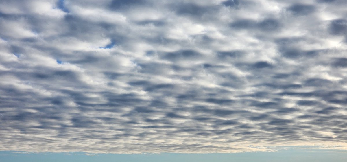 CrazyMistyCat's tweet photo. This morning started with a l♡vely clouded blanket across the sky.
I really enjoy seeing the clear sky dividing the mountains & clouds.
🥰😶🌫️🥰😶🌫️🥰😶🌫️🥰 😶🌫️🥰
I h♡pe each & every person on X has a wonderful Wednesday❣️
#CloudBlanket #WonderfulWednesday https://t.co/8w4OFLYhTk