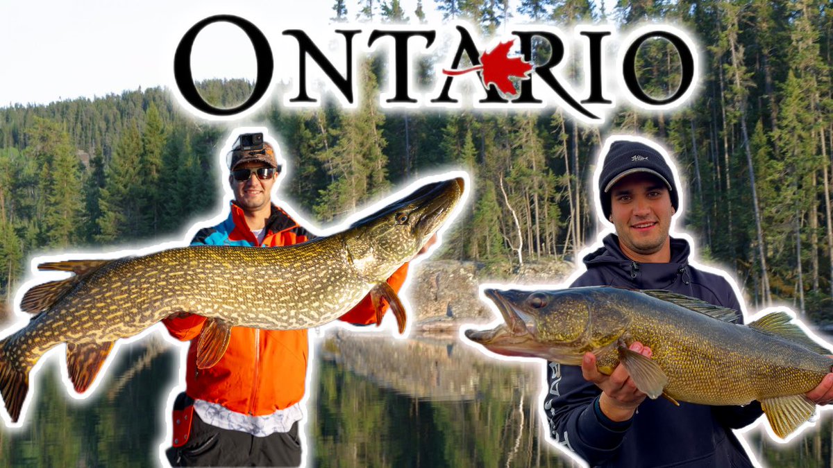 New video up! youtu.be/cgHpTUgY1dw?si…

GO FISH ONTARIO
