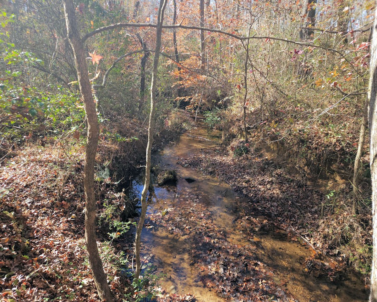NEW LISTING - 48.18 acres on N. Hwy 25 in Travelers Rest, SC.  Excellent investment or development opportunity. Hardwoods, pines and several creeks on site.  Over 2,800' road frontage on N. Hwy 25 and located between Hwy 414 and Hwy 11.  No zoning, no restrictions.  $30,000/ac.