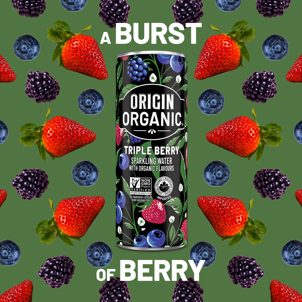 OriginOrganicCa's tweet photo. Find your bliss in a light, refreshing blend of blueberry, blackberry and strawberry bubbles. 🫐🍓

#OriginOrganic #TripleBerry #BerrySparklingWater https://t.co/wznOcNXSxX