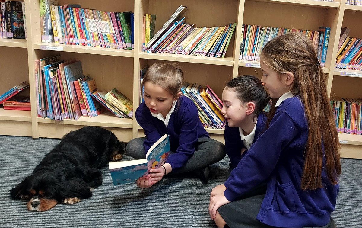 Our pupils reading Reuben a story today. 😍📖🐶 #WowWednesday