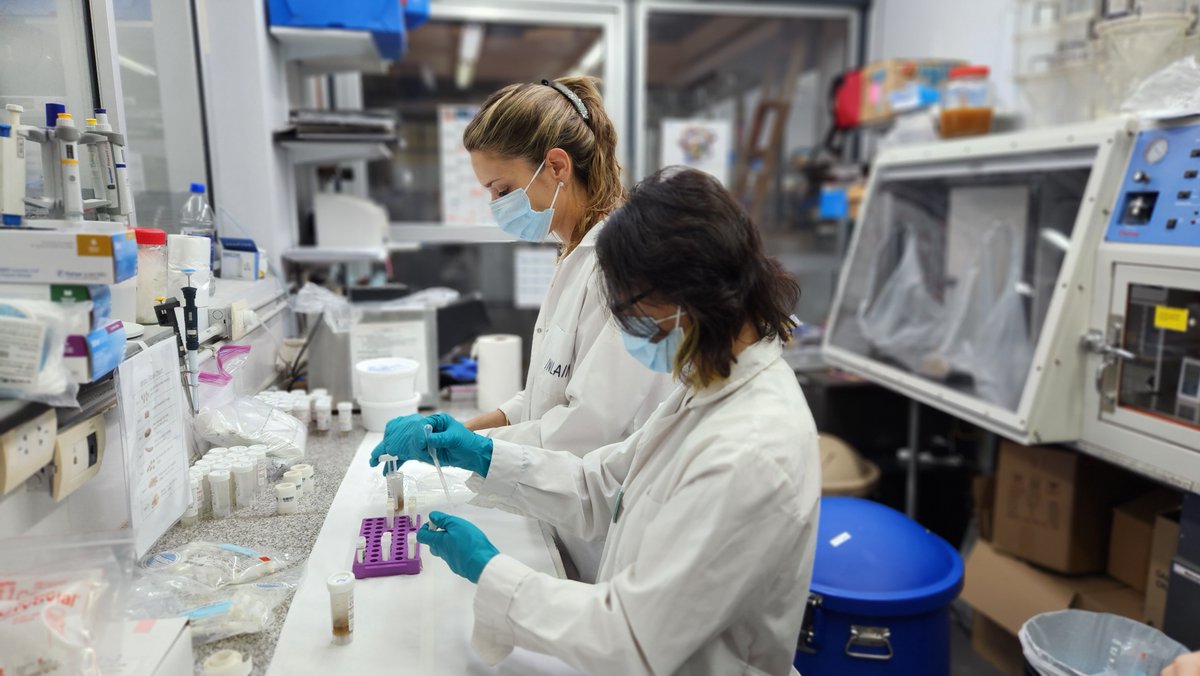 In pursuit of a deeper understanding of the human #microbiome, researchers and scientists from the US and Argentina are unlocking the potential of human bacteria responsible for playing a vital role in key health functions. openbiome.org/features/