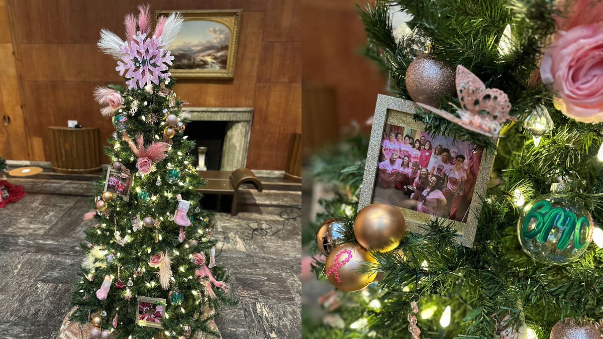 Berkshire_Med's tweet image. Visit the @BerkshireMuseum from now until January 7 for the return of the #FestivalofTrees. This year, the Berkshire Health Systems Women&apos;s Imaging Team dressed their tree for breast cancer awareness. 💕🌲