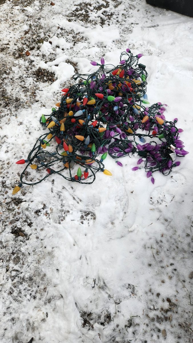 Bretzky 🇨🇦 tweet media