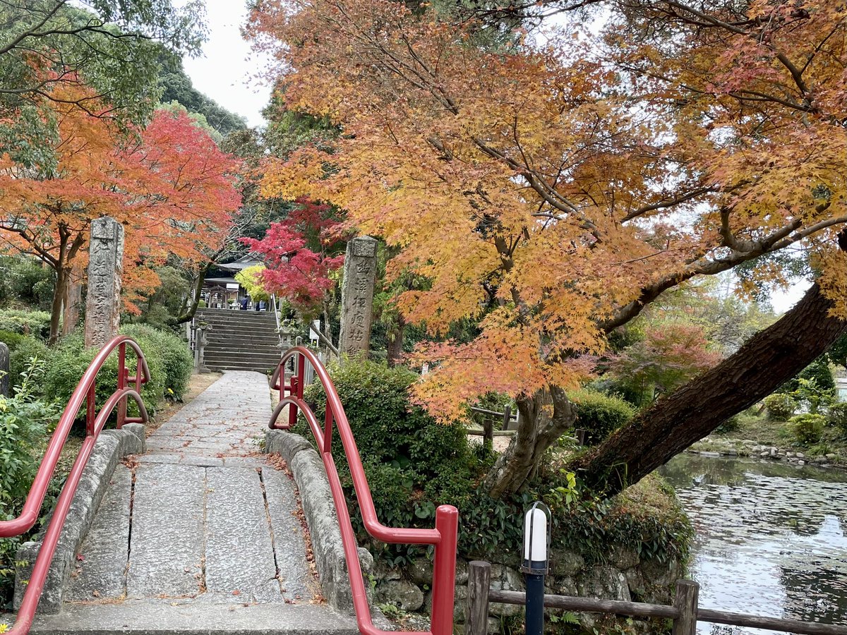 🍀お早う御座います^ - ^🍀

重荷を背負い
悲しみを背負い
煩わしさを背負い
良い笑来い笑と
乗り越えま笑

福岡県、筑紫野市
九州最古のお寺、武蔵寺です🤗

皆様、今日もニッコリ笑顔で
良い一日になる〜
🍁*\(^o^)/*💪