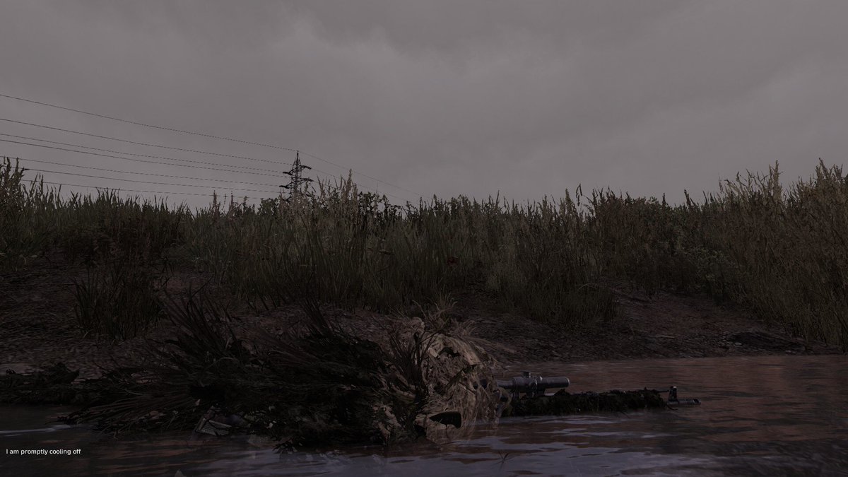 Hirro___'s tweet photo. @DayZ They all tell a story https://t.co/8WJ0bESqQD