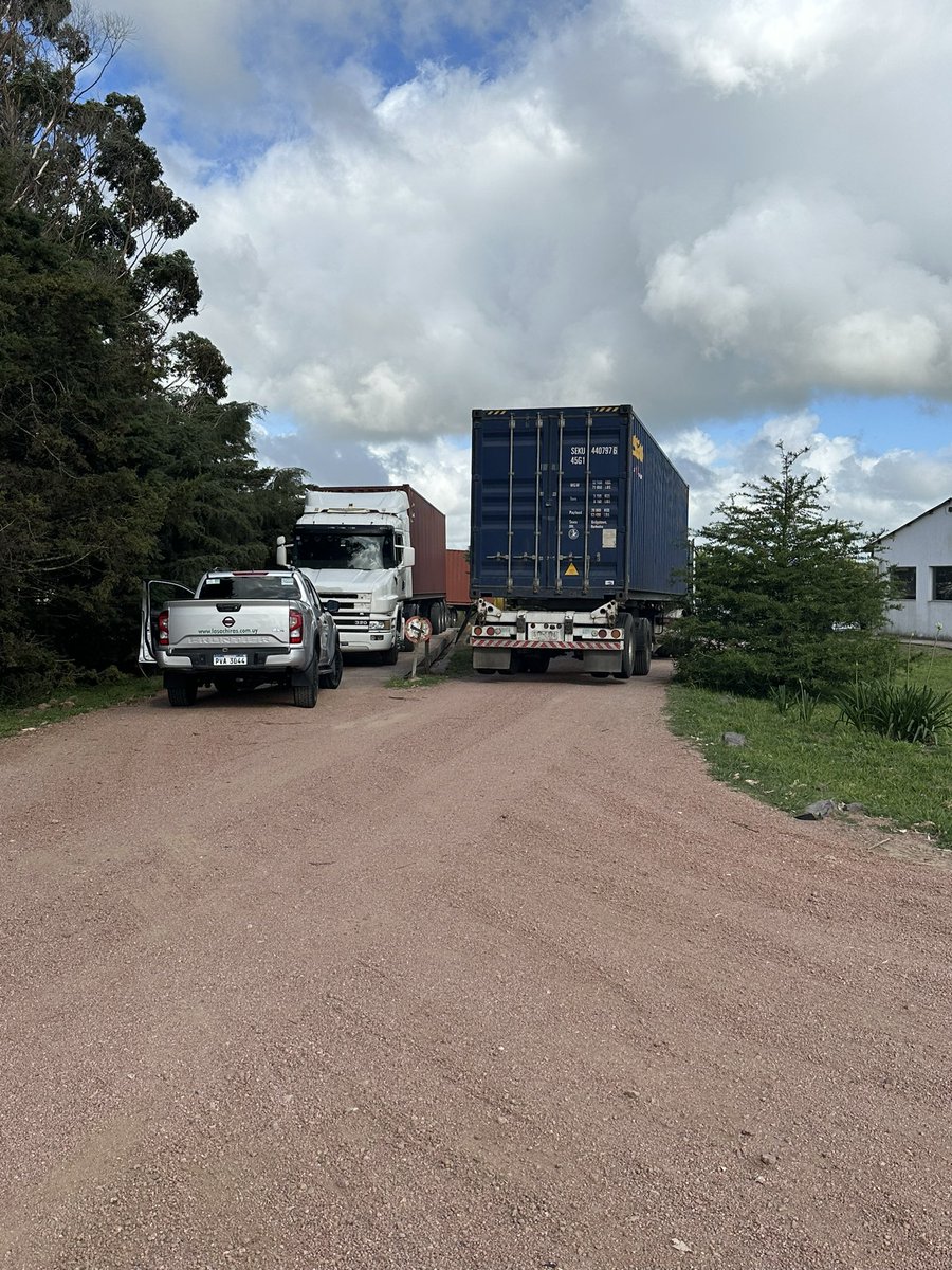 Primer embarque de SORGO DE LAS ACHIRAS a CHINA de alto tanino para consumo humano o animal