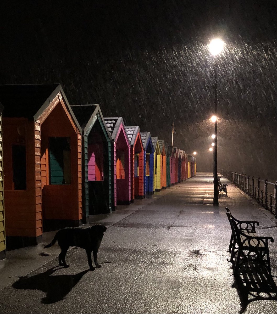 Snowy by the beach huts in Saltburn