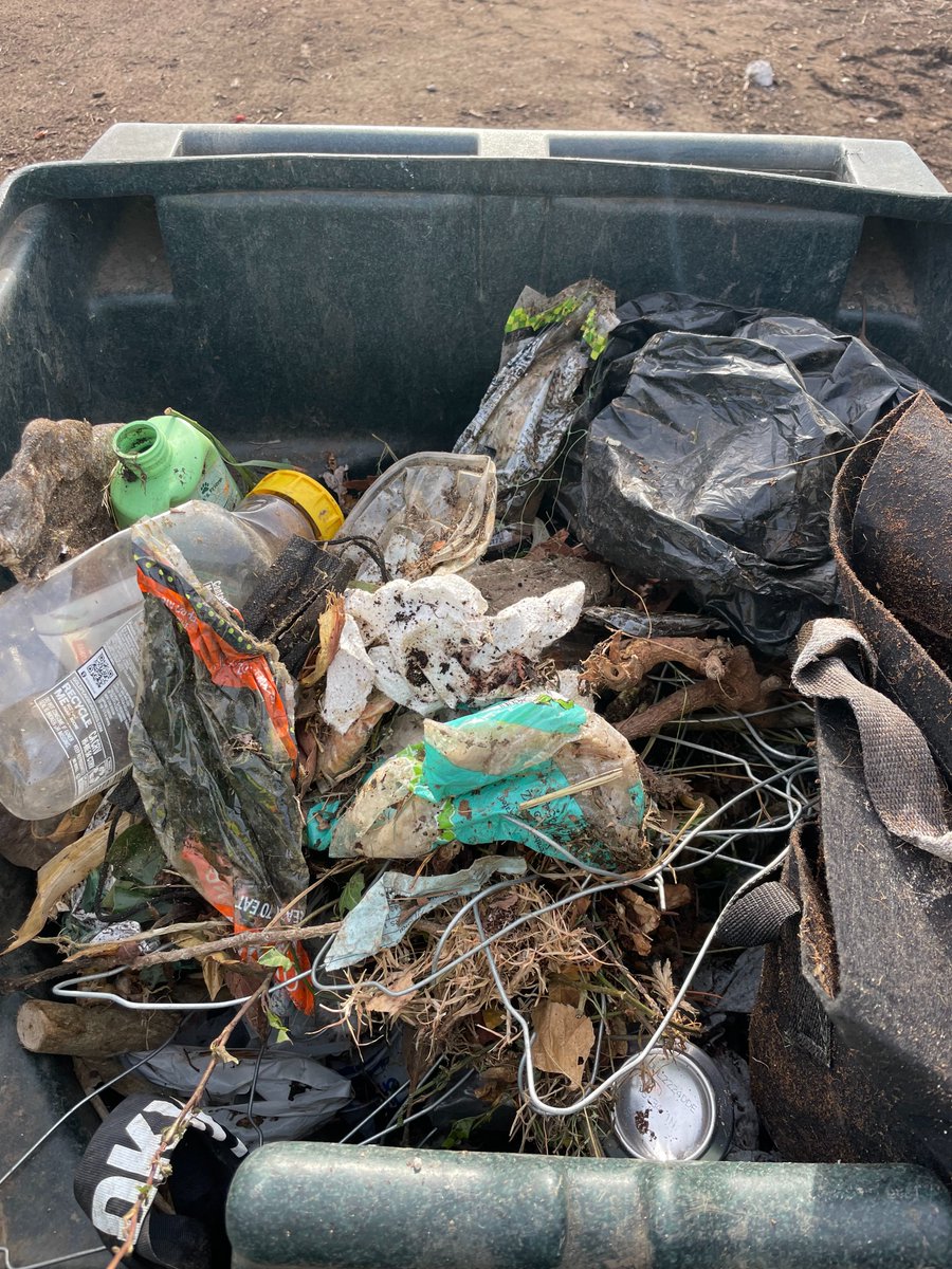 svswa's tweet photo. This is what yard waste contamination looks like when it arrives to our organics operation🥴 It requires 5 staff plucking out ~18,000lbs of trash per WEEK, becoming costly for everyone. 

Be sure to recycle right and only put yard waste and food scraps ito the green cart♻️ https://t.co/9XeFT81T6D