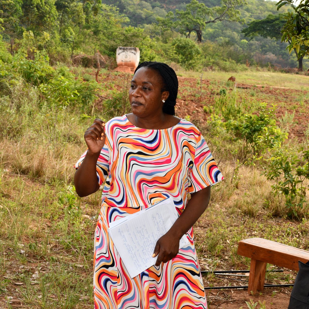 Women and Law in Southern Africa - Zimbabwe tweet media