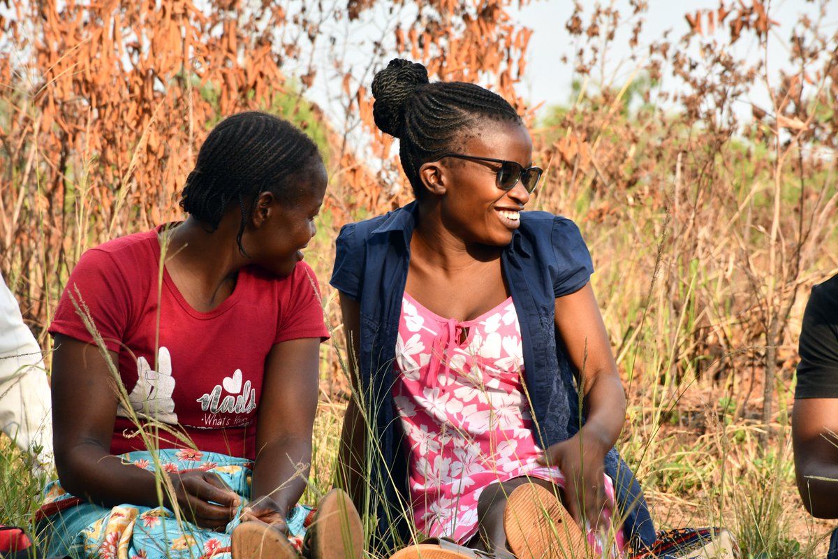 Women and Law in Southern Africa - Zimbabwe tweet media