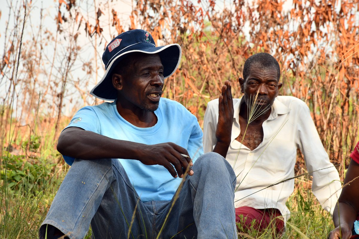 Women and Law in Southern Africa - Zimbabwe tweet media