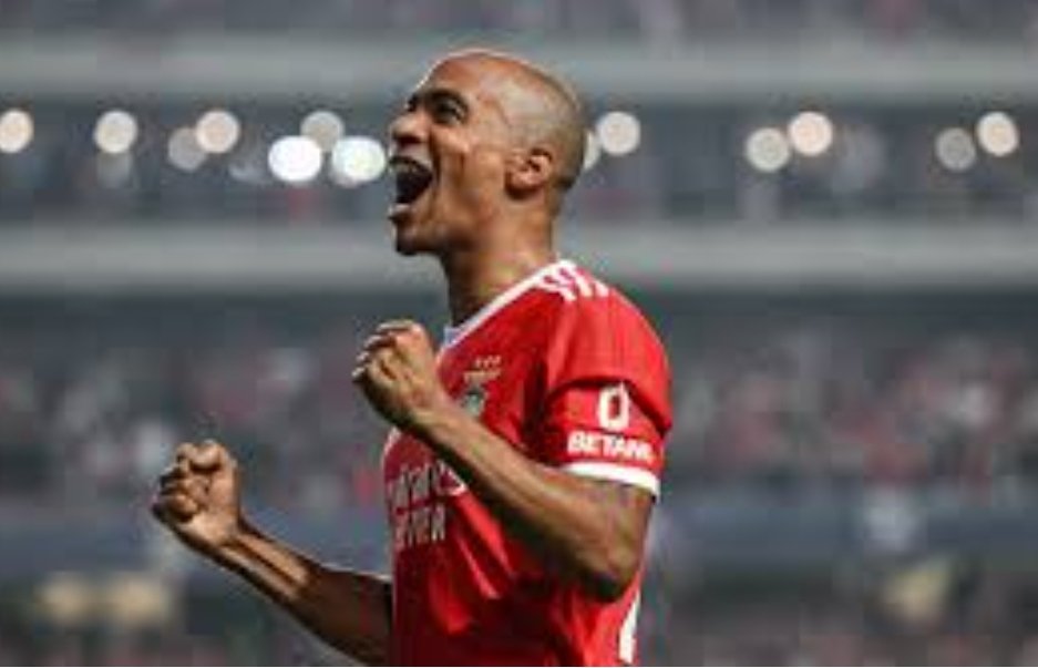 Fabio Donolato tweet media